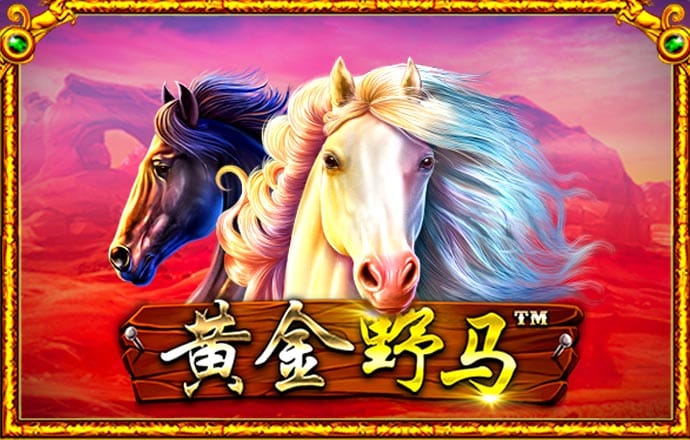 巴沙体育app最新版本下载截图0